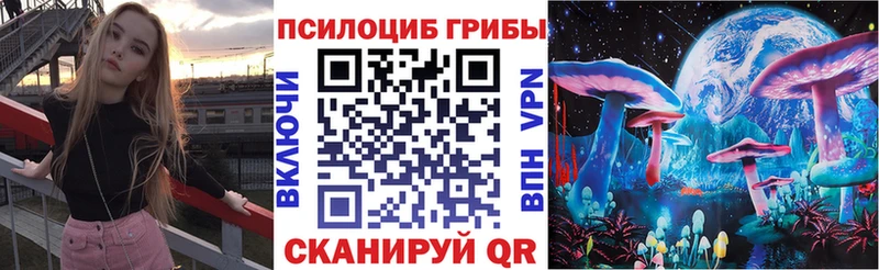 KRAKEN рабочий сайт  дарнет шоп  Гатчина  Псилоцибиновые грибы GOLDEN TEACHER 