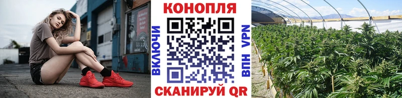 МАРИХУАНА White Widow  даркнет наркотические препараты  Гатчина 
